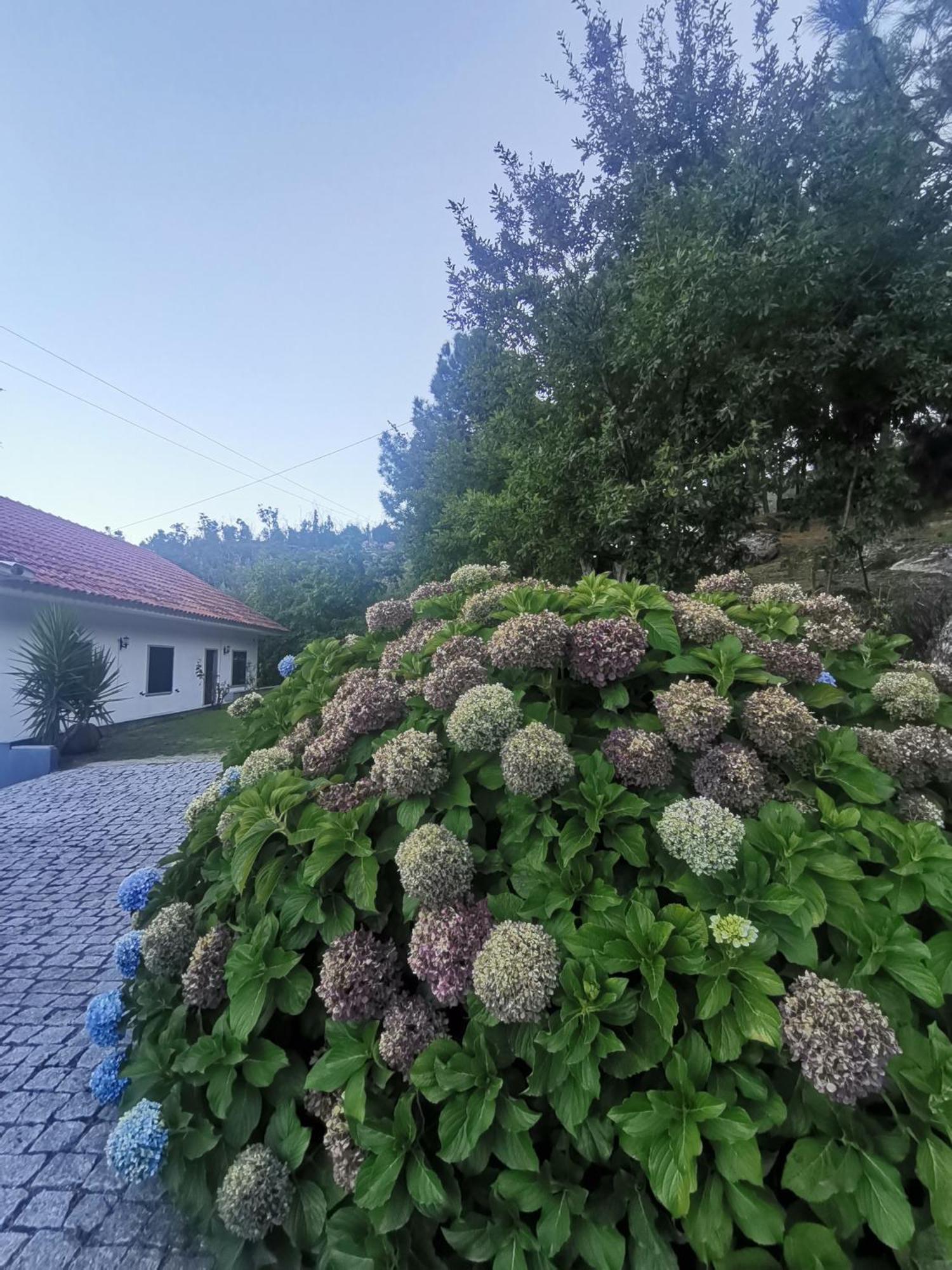 Quinta Souto Da Ordem - House Villa Castelo Novo Kültér fotó